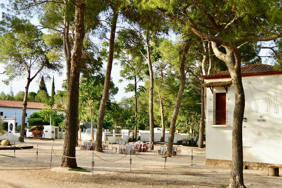 Exterior