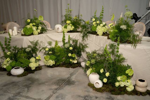 Presidencial salvaje