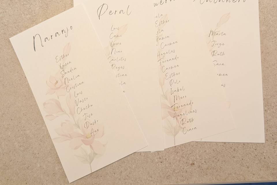 Seating plan papelería