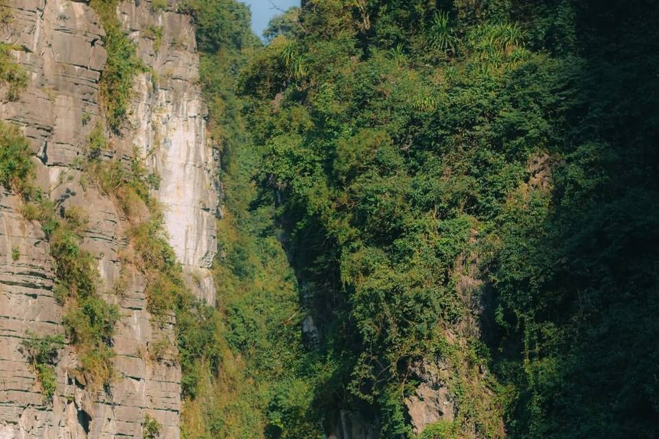 Asiatica Travel