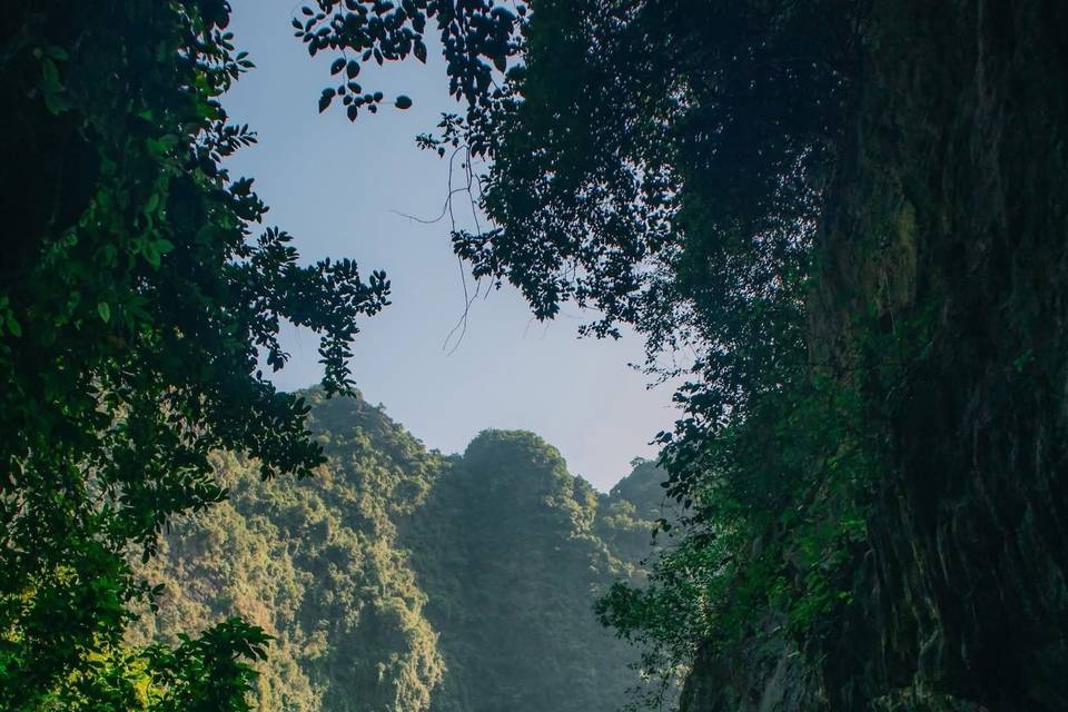 Asiatica Travel