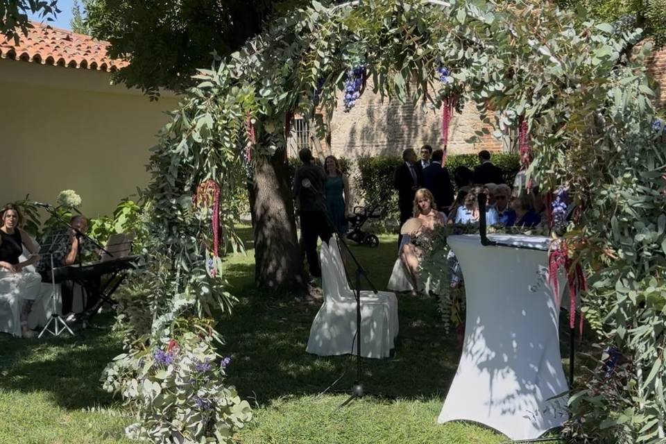 Microfonia