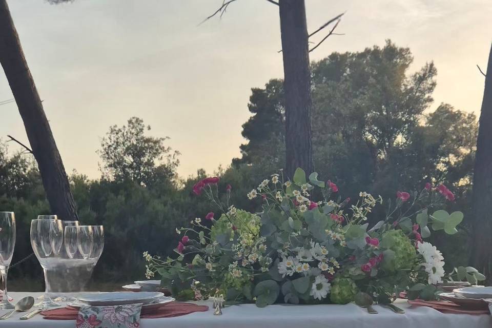 elegancia