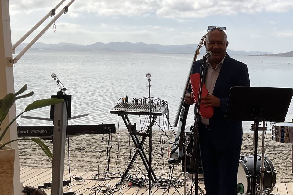 El cantante