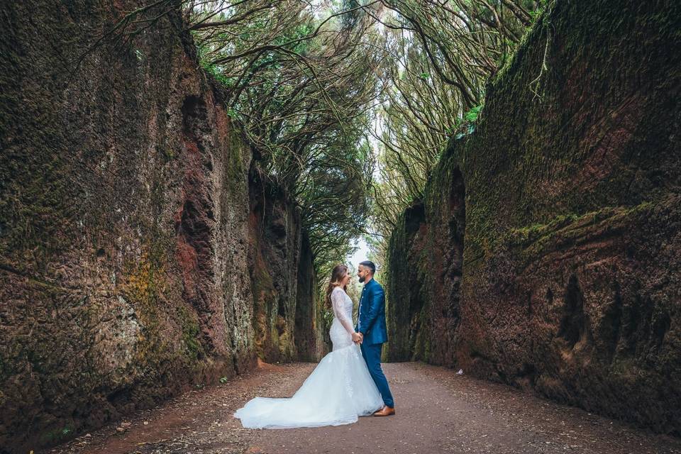 Postboda en la laurisilva de A