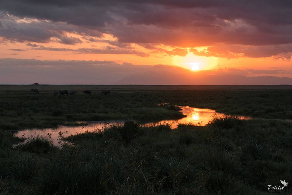 Mágico atardecer