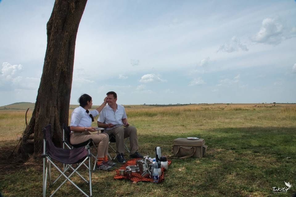 Picnic en la sabana