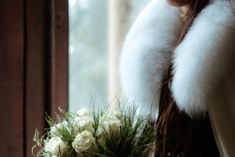 Princesa de las nieves