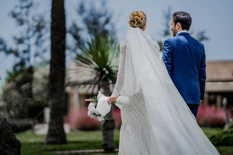 Novios