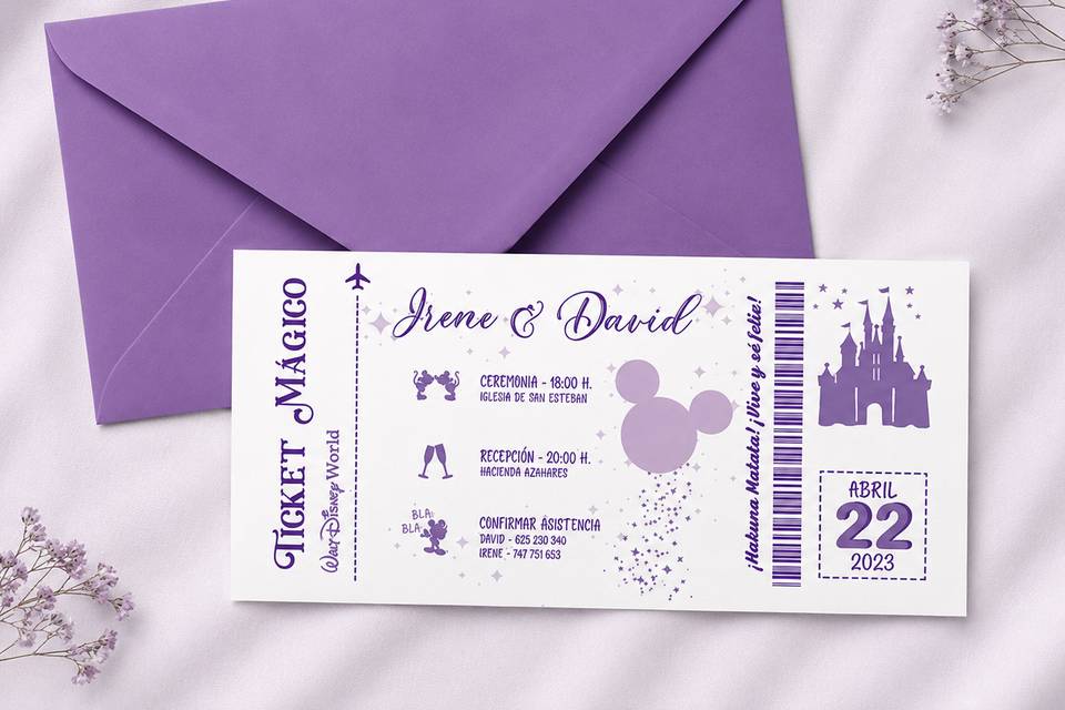 ENTRADA DISNEY