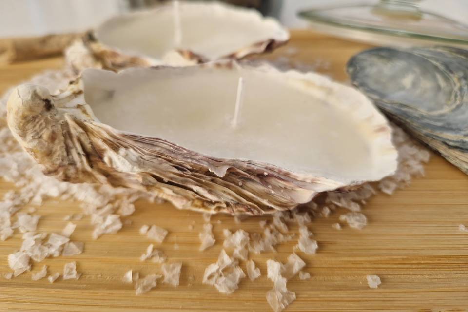 Vela en concha de ostra