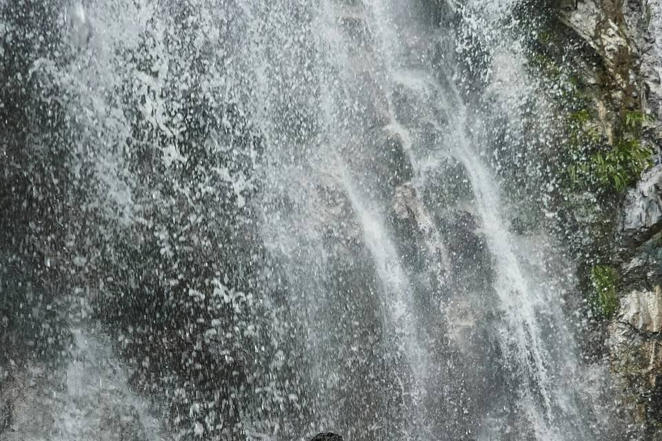 El amor en Mauricio