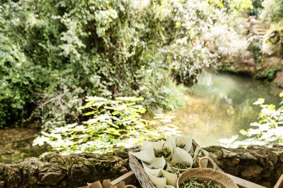 Boda en Molí l’Abad