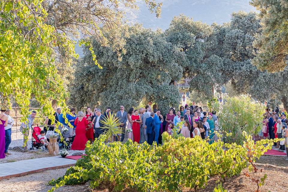 Boda de Verónica y Jesús