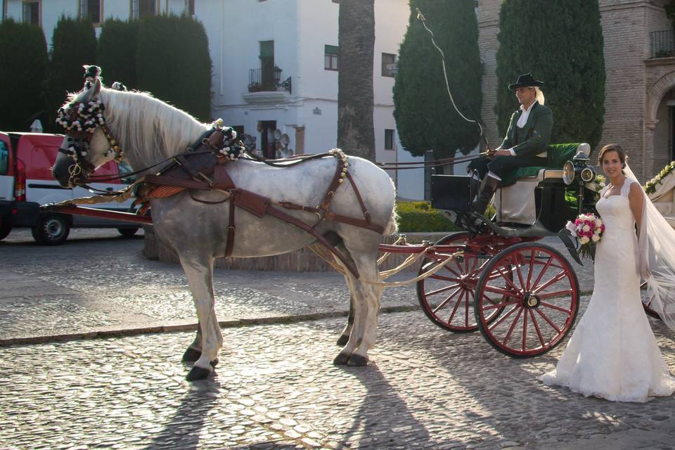 Gemelo del novio