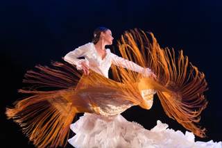 Flamenco Beatriz Higueras
