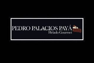 Pedro Palacios Payá