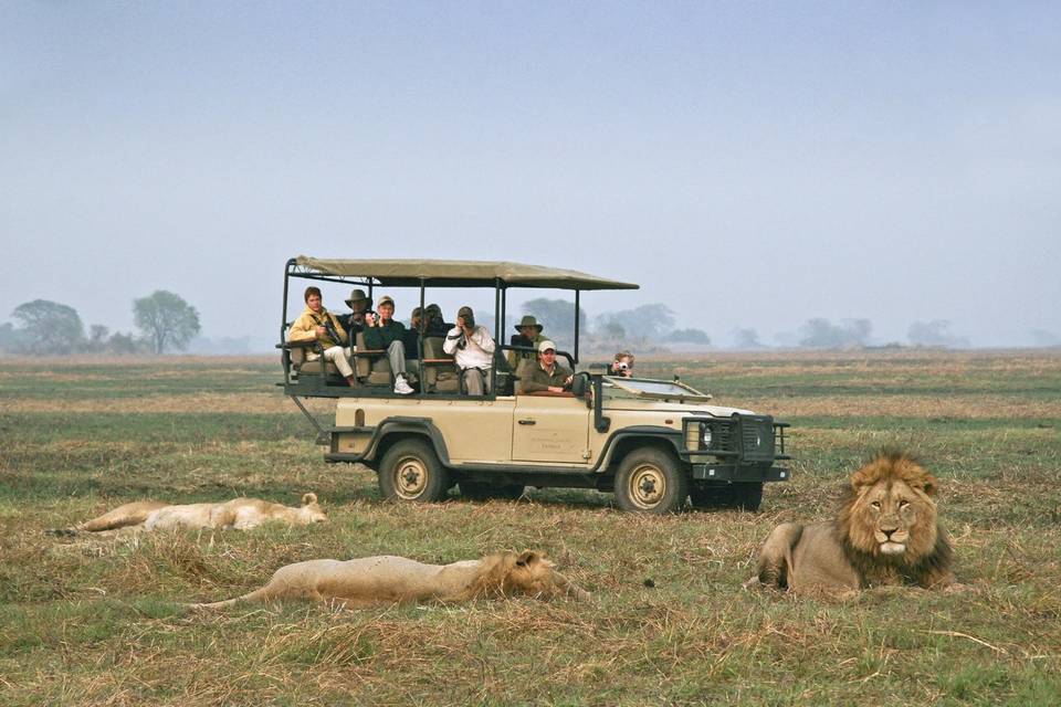 De safari