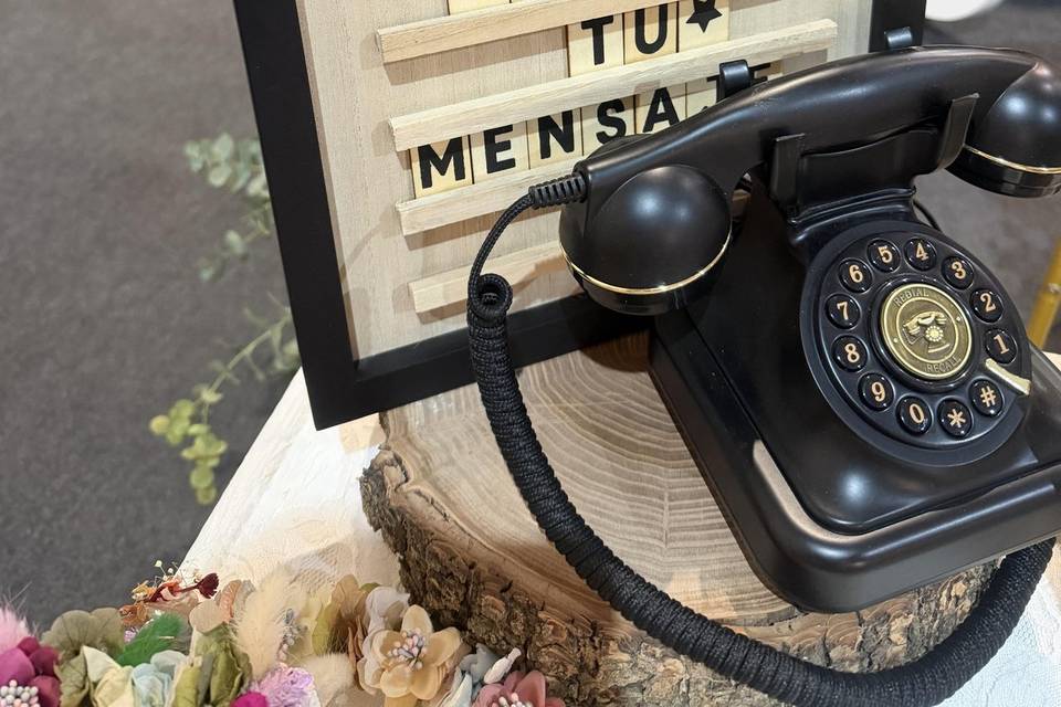 Teléfono audio
