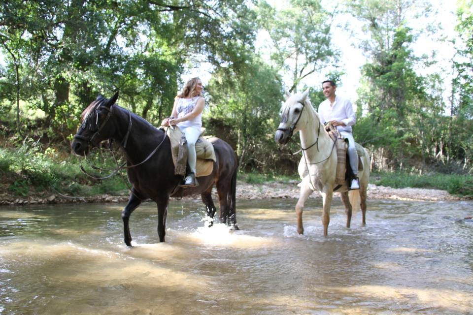 Alberto y Virginia