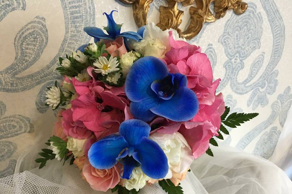 La Orquídea Azul - Consulta disponibilidad y precios