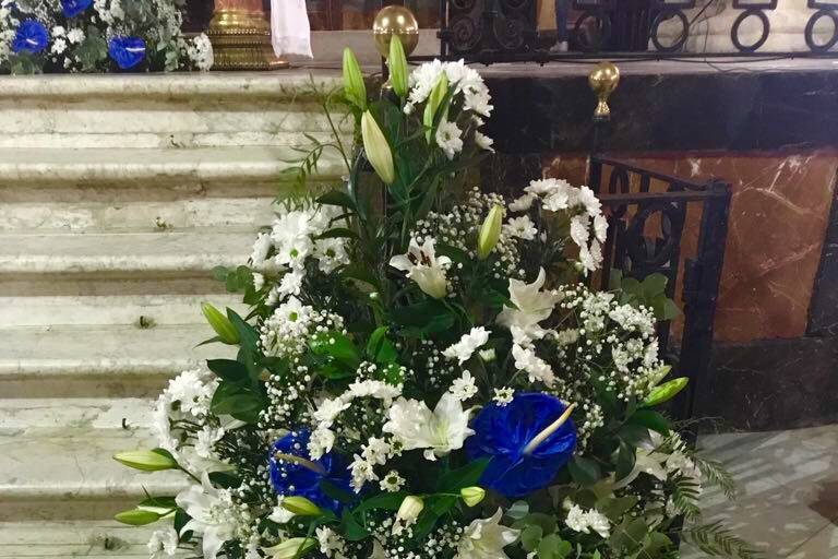 La Orquídea Azul