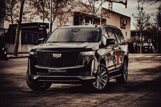 Drive Prestige