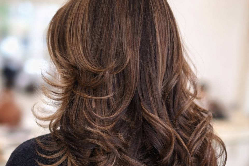 Mechas