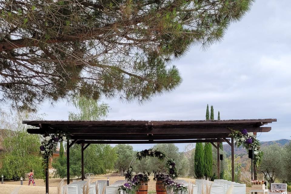 Decoración de entrada a carpa