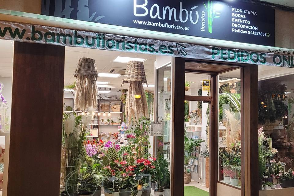 Bambú Floristas