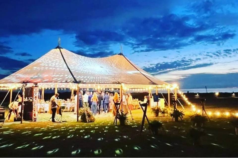 Carpa puls iluminación