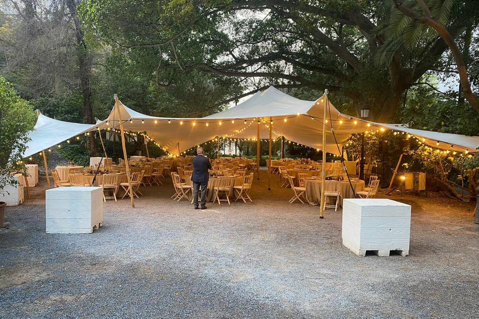 Carpas, deco, e iluminación