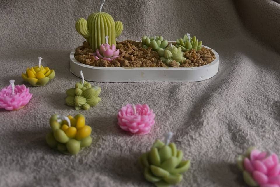 Mini jardín con suculentas