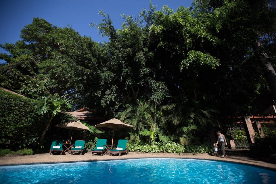 Arusha coffee pool