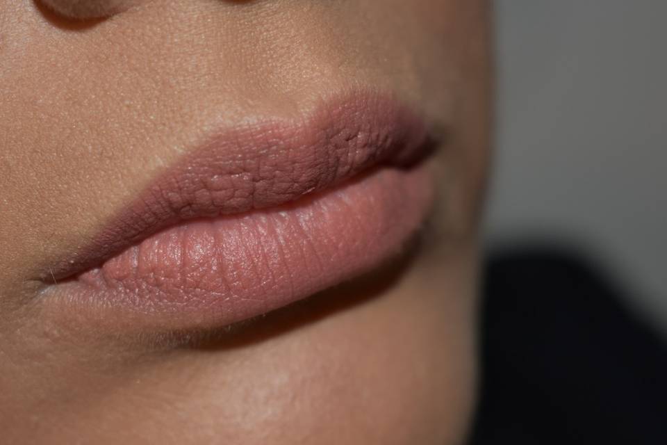 Labios nude