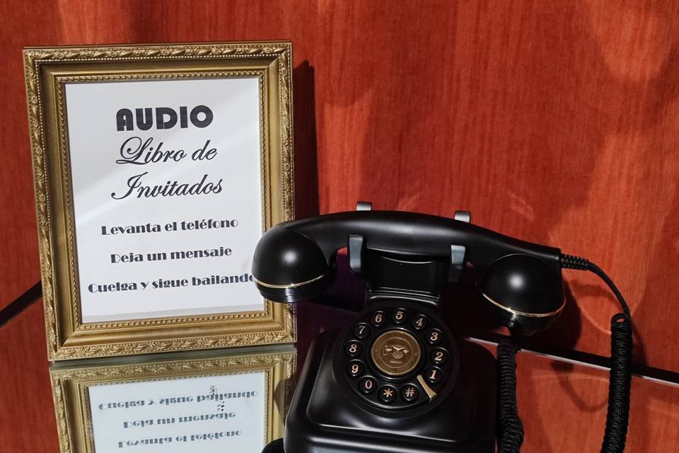 Audio libro de invitados