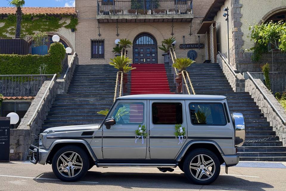 Elegante
