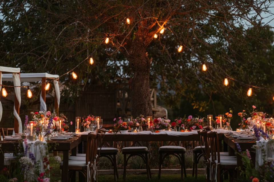 Cena campestre