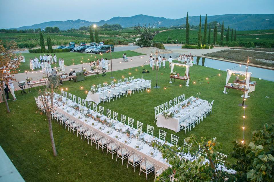 Boda de blanco