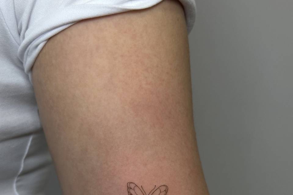 Mariposa 2