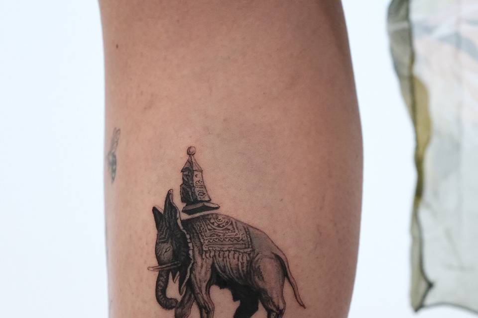 Elefante
