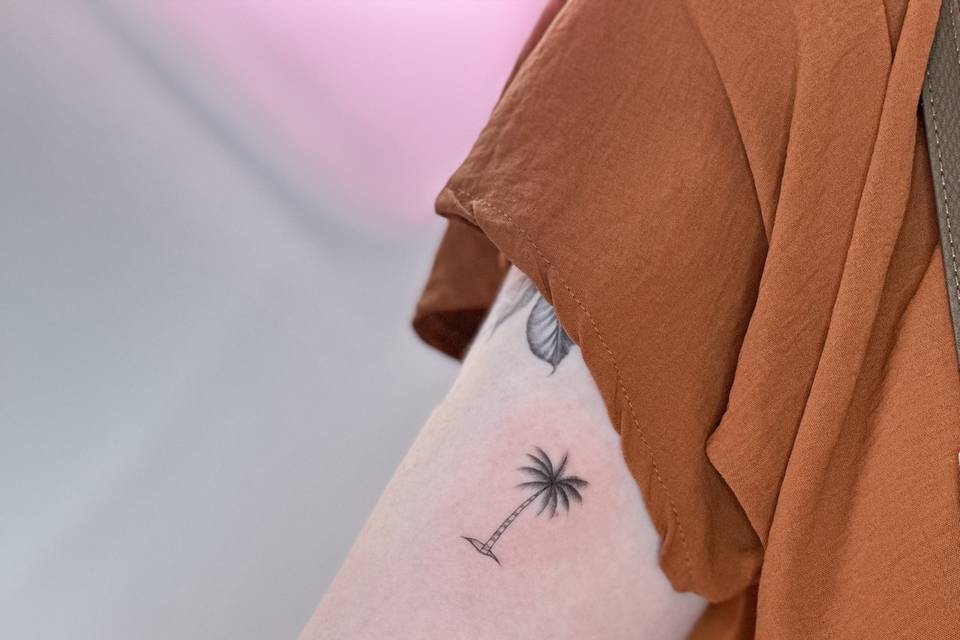 Palmera