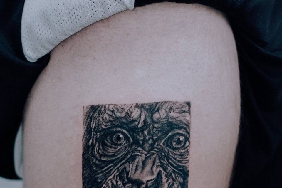Chimpancé