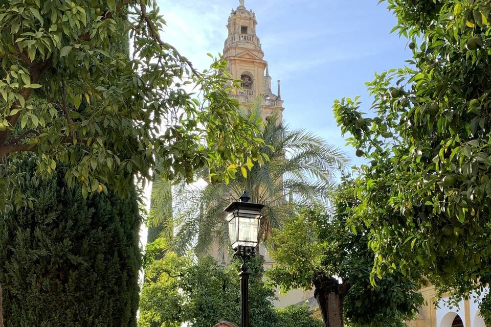 En Córdoba