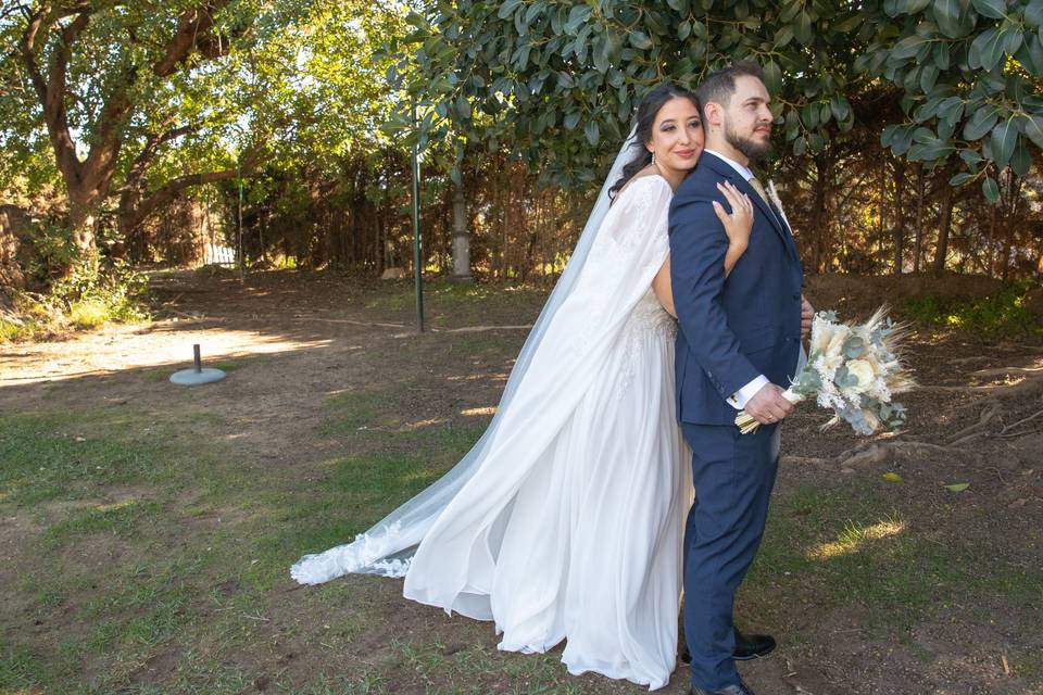 Bodas