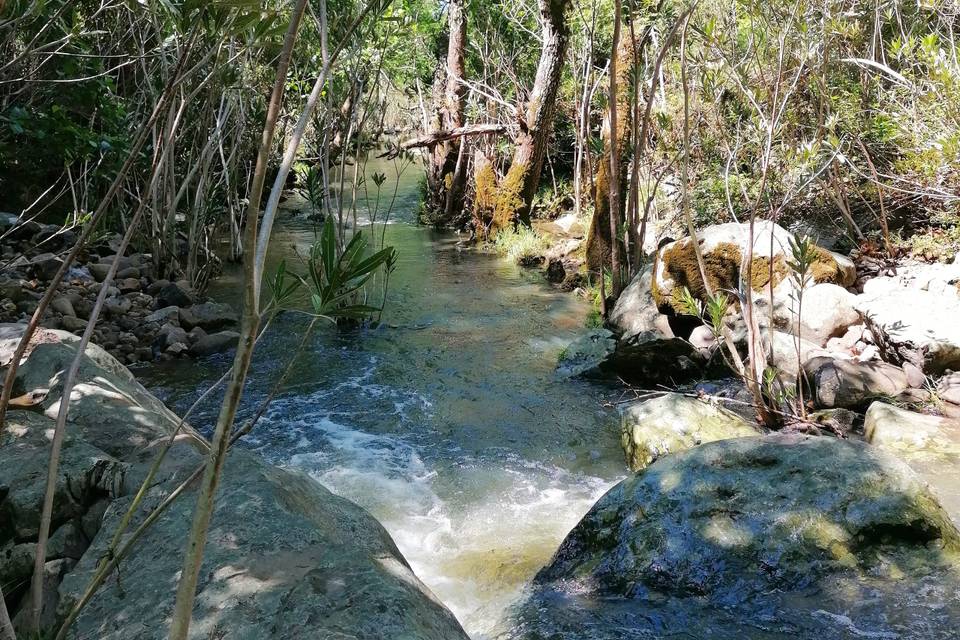 Río en las Hermanillas