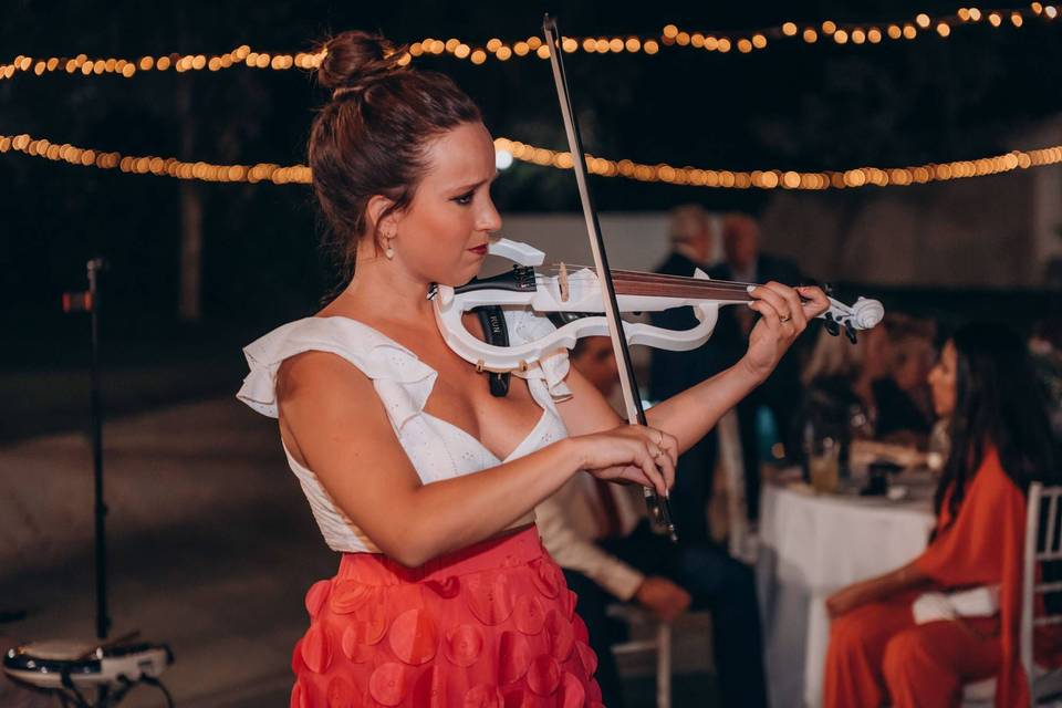 Violín