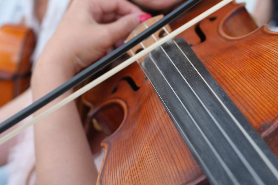 Violín