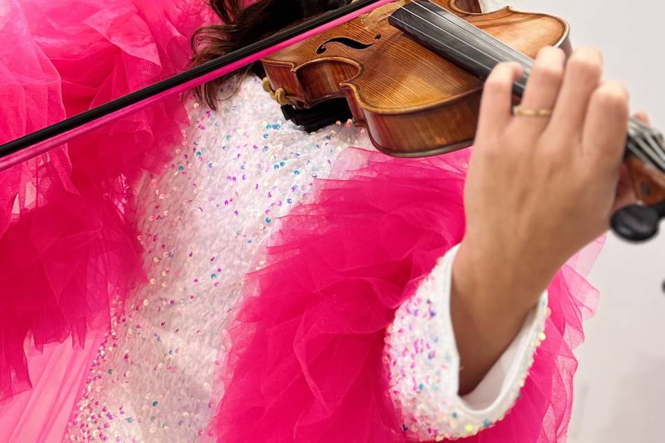 Violín