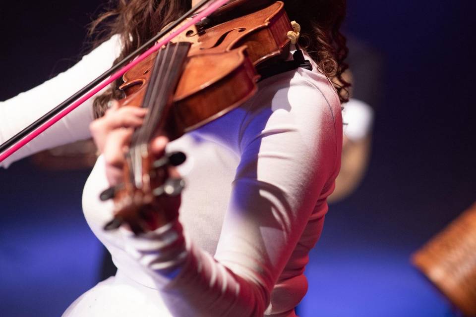 Violín